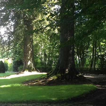 Villa Adélaïde Chimay Esterno foto