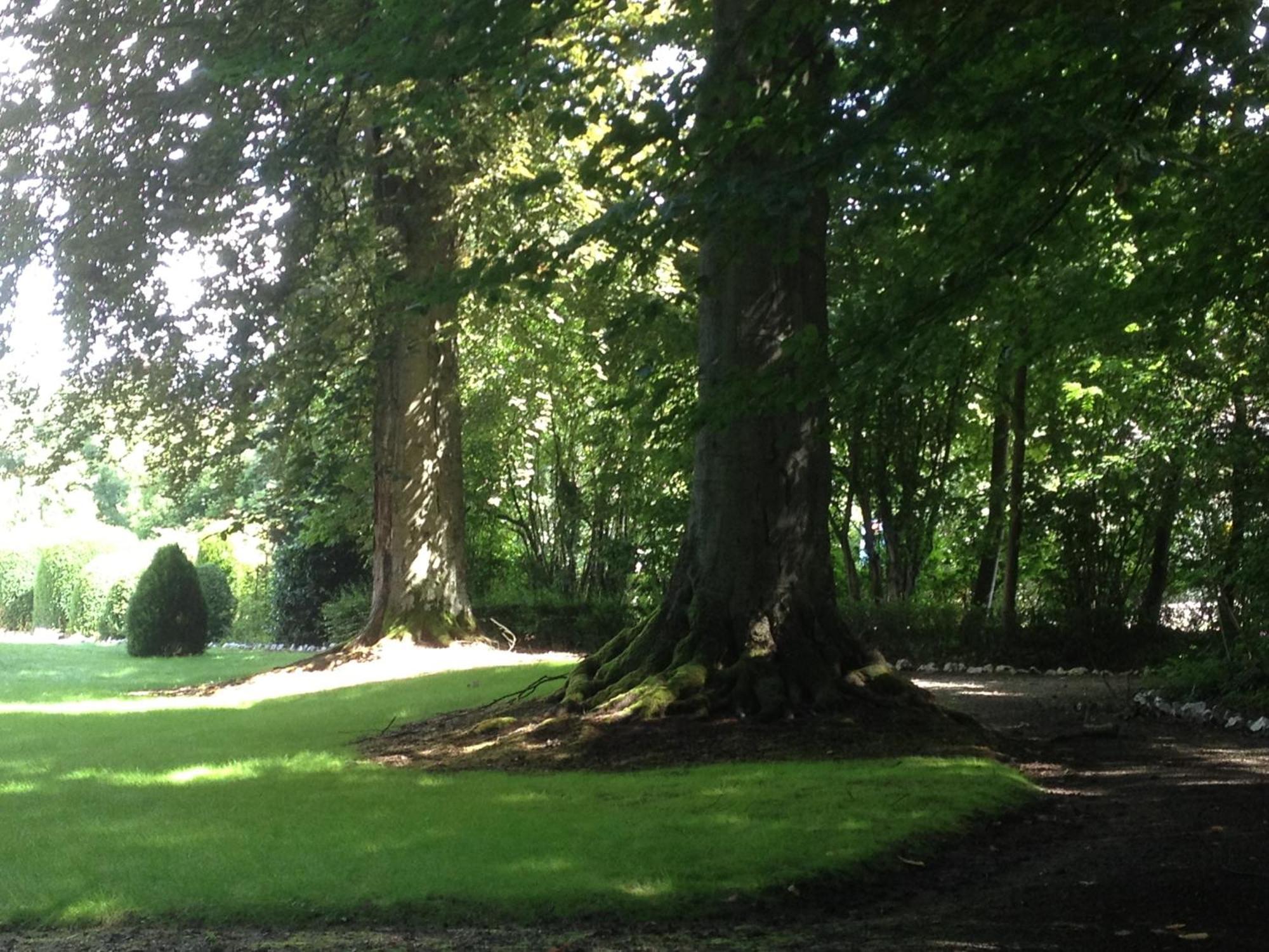 Villa Adélaïde Chimay Esterno foto